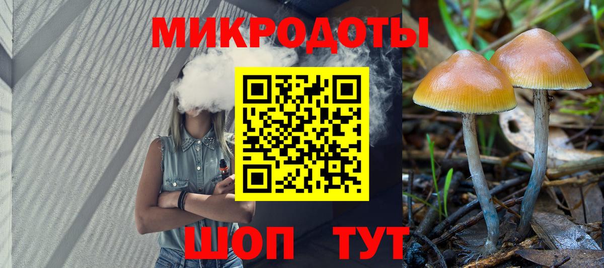 Галлюциногенные грибы мицелий Минусинск