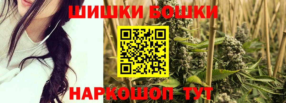 Конопля сатива Минусинск